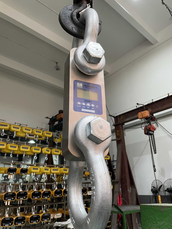 100KN电子拉力表